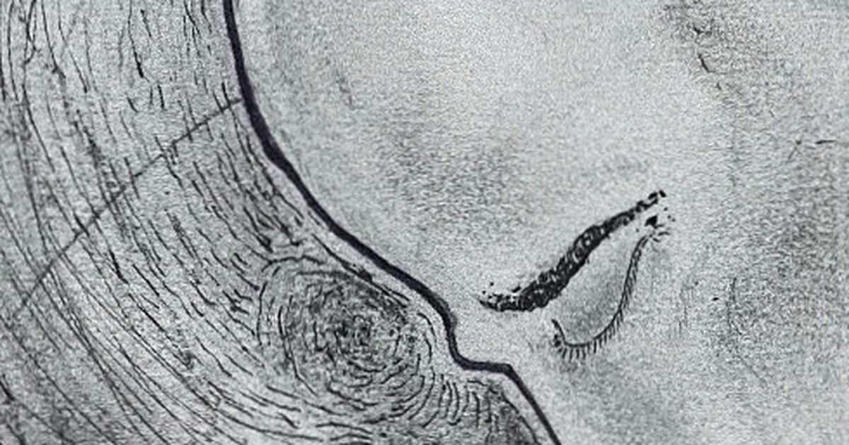 Resonance, detail: the Dream