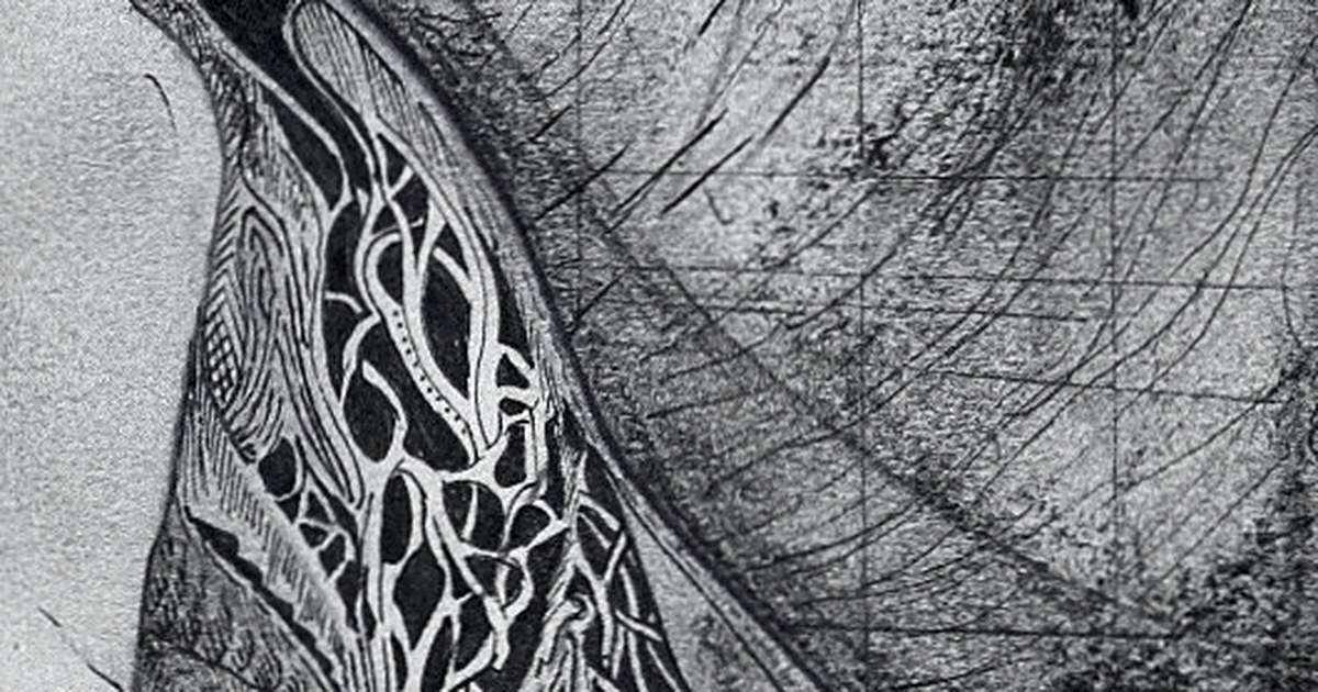 Resonance, detail: the Lattice